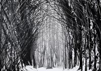 Featured image for Classic Paintings: Timeless Art Pieces