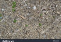 Featured image for Using Natural Materials for Exterior Texture